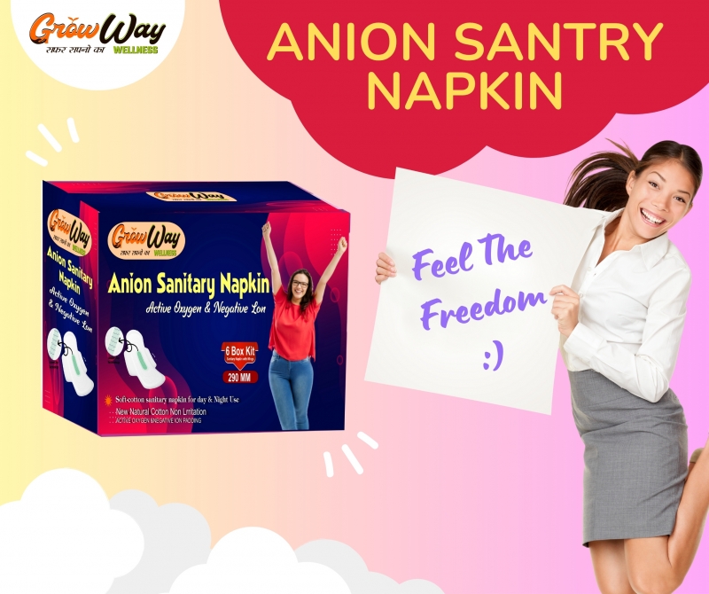Anion santry napkin Pad